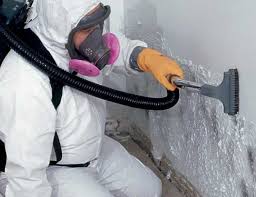 Best Environmental Consulting for Mold Prevention  in Eagle, ID